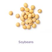 Calcium-almond-milk-(3).jpg
