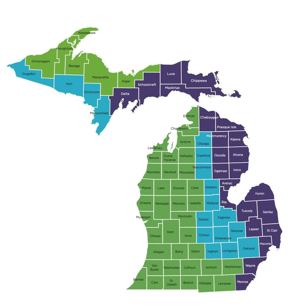 Michigan rep Territory Map